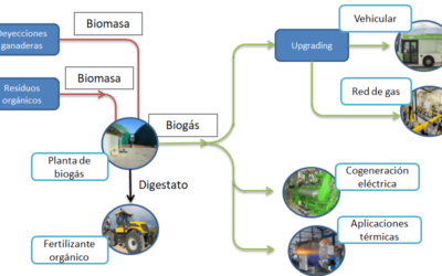 ¿Cuál es la mejor alternativa de valorización del biogás?